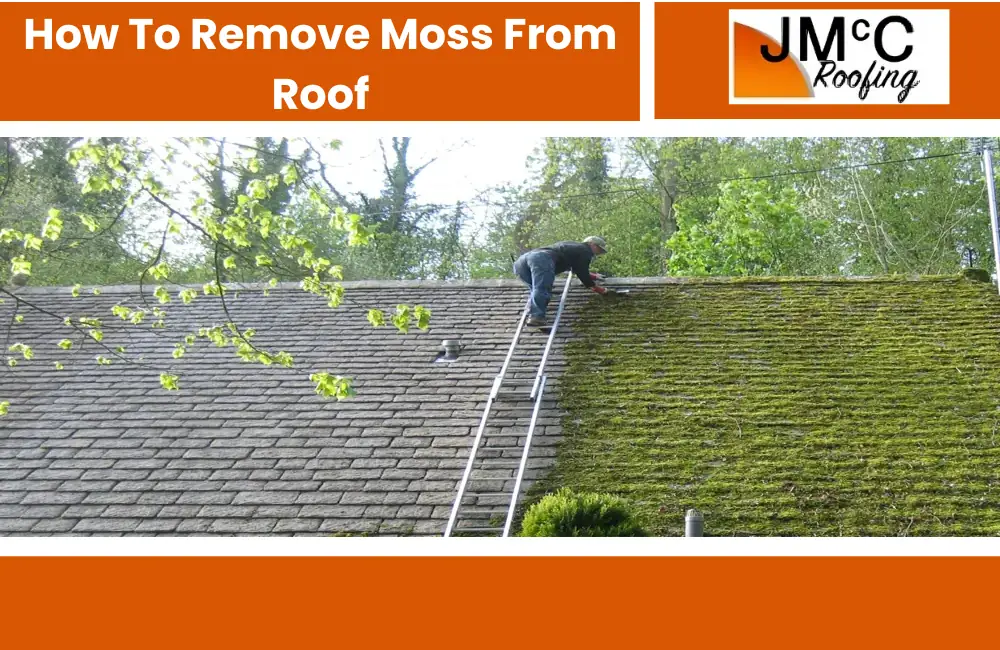 how to remove moss from roof